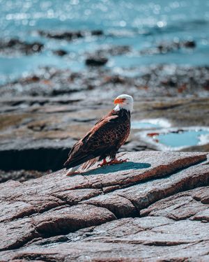 Image post by @z.clik on Instagram