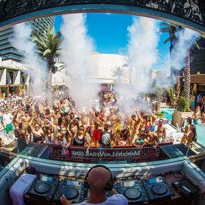 Image post by @marqueelv on Instagram