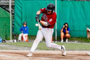 Image post by @d1baseball on Twitter