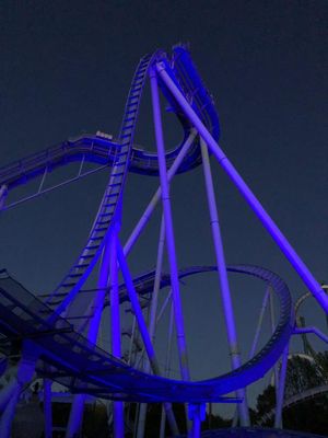 Image post by @BuschGardensVA on Twitter