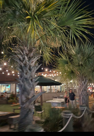 Video post by @korsen_land on TikTok