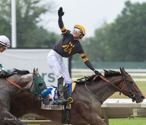 Image post by @thoroughbred_daily_news on Instagram