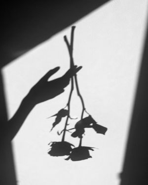 Image post by @azrabetul on Instagram