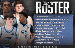 Image post by @gibbselitehoops on Instagram