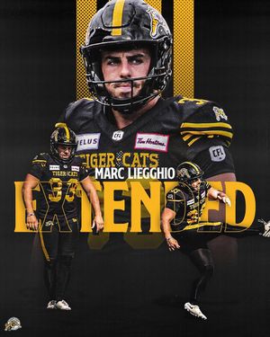 Image post by @hamiltontigercats on Instagram