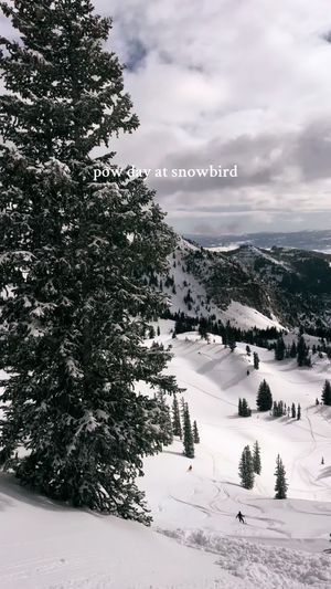 Video post by @filmbychloeg on TikTok
