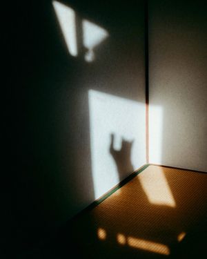 Image post by @fubiz on Instagram