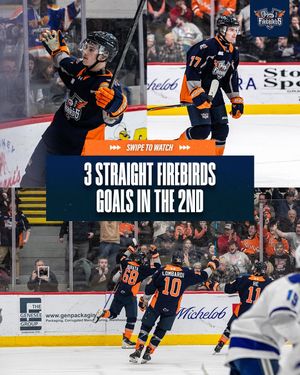 Image post by @flintfirebirds on Instagram