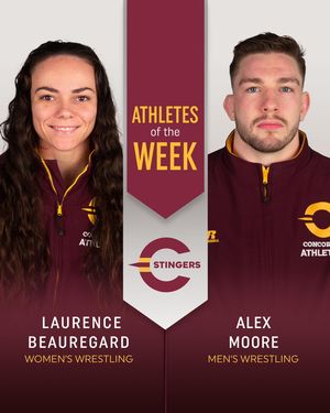 Image post by @the_stingers on Instagram