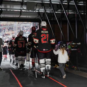 Image post by @theahl on Instagram