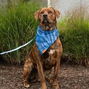 Image post by @bulkreefsupply on Instagram