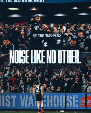 Image post by @carlton_fc on Instagram