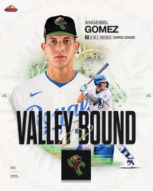 Image post by @mlbazfallleague on Instagram