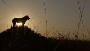 Image post by @natgeotv on Instagram