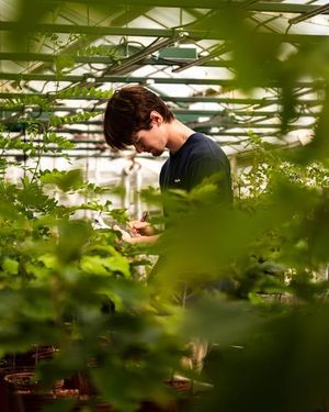 Image post by @pennstate on Instagram