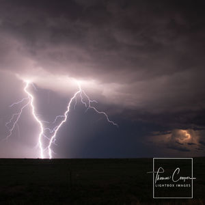 Image post by @lightboximages on Instagram