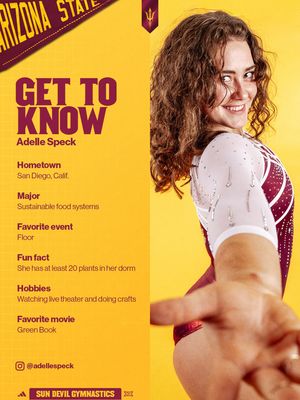Image post by @sundevilgymnastics on Instagram