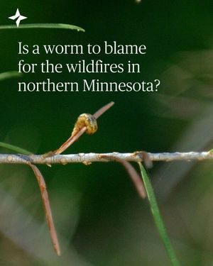 Image post by @startribune on Instagram