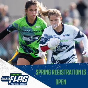 Image post by @seahawksflag on Instagram