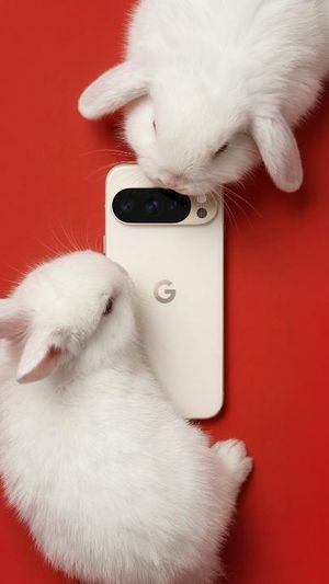 Video post by @googlepixeluk on TikTok