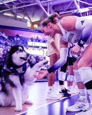 Image post by @uwvolleyball on Instagram