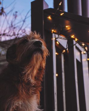 Image post by @klasakphoto on Instagram