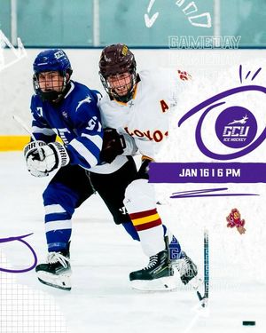 Image post by @lopeshockey_d3 on Instagram