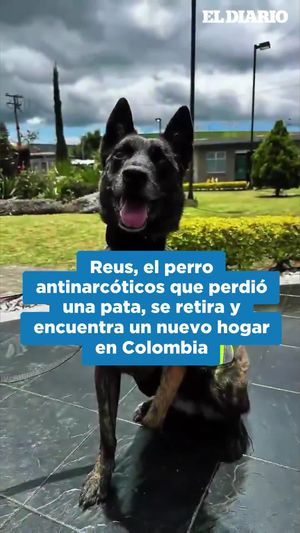 Video post by @eldiariony on Instagram