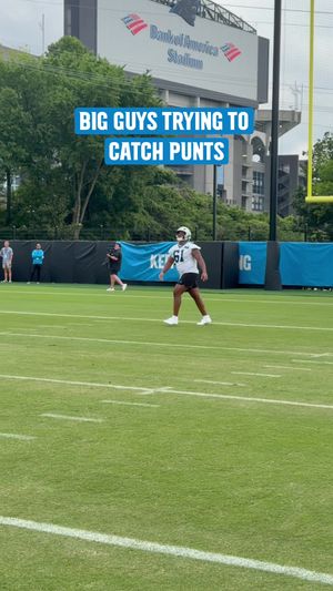 Video post by @panthers on TikTok
