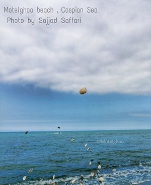Image post by @royaei_abi_keyvan on Instagram