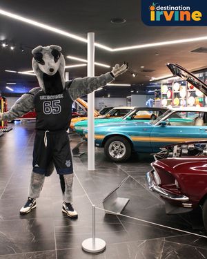 Image post by @petertanteater on Instagram