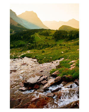 Image post by @kodakprofessional on Instagram