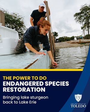 Image post by @uoftoledo on Instagram