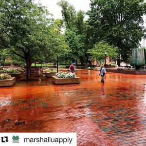 Image post by @marshallu on Instagram