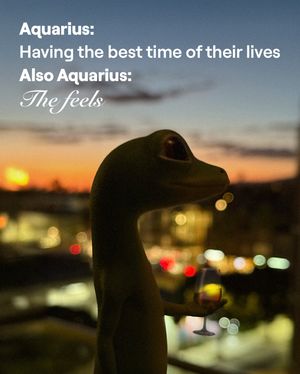 Image post by @geico on Instagram