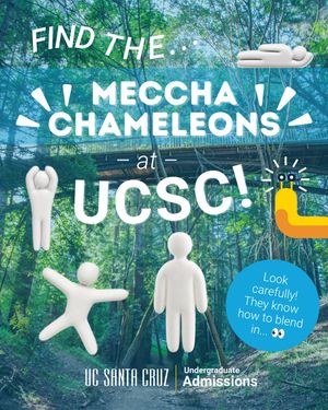 Image post by @ucscadmissions on Instagram