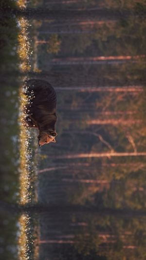 Image post by @inkvoyagestudio on Instagram