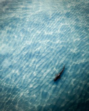 Image post by @droneartgallery on Instagram