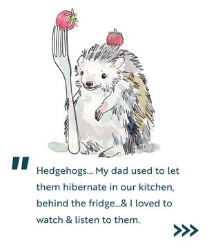Image post by @rspb on Instagram