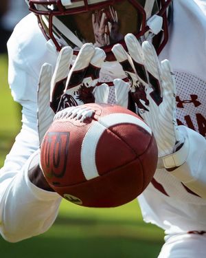 Image post by @gamecockfb on Instagram