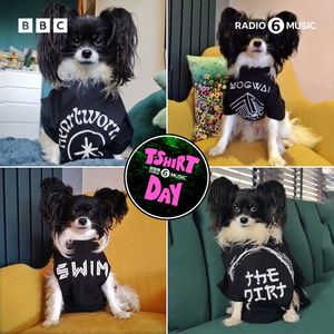 Video post by @bbc6music on TikTok