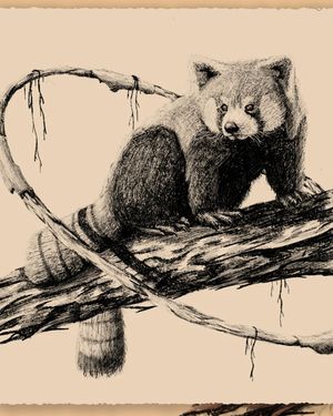 Image post by @connoronealdesign on Instagram