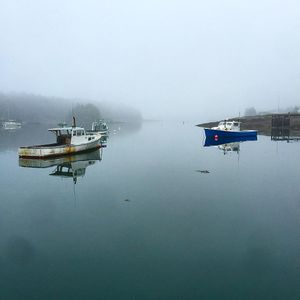 Image post by @themainemag on Instagram