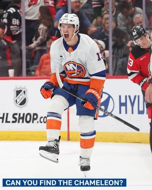 Image post by @nyislanders on Instagram