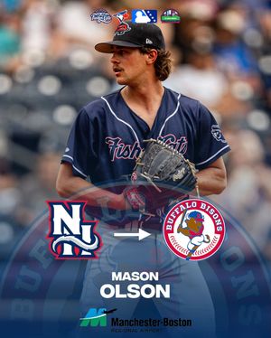 Image post by @fishercats on Instagram
