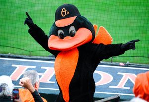 Image post by @OrioleBird on Twitter
