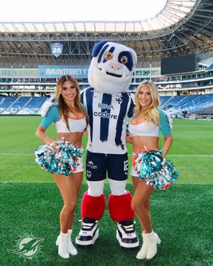 Image post by @losdolphins on Instagram