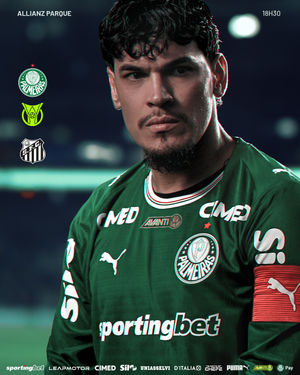 Image post by @palmeiras on Instagram