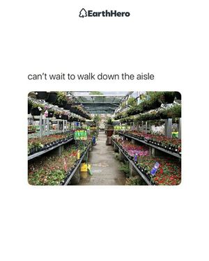 Image post by @shopearthhero on Instagram