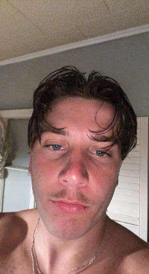 Image post by @bobbypombo on TikTok